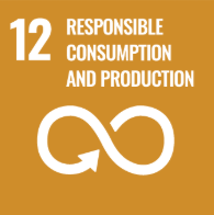 SDG 12 Responsible Consumption and Production